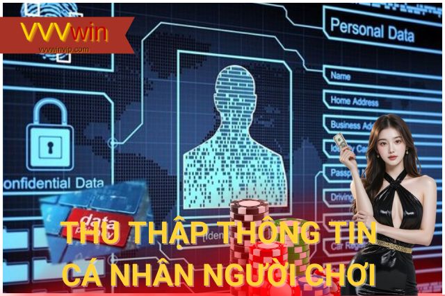 VVVwin thu thập một số thông tin cá nhân của người chơi